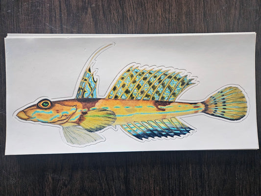 Boat sticker / reticulated dragonet